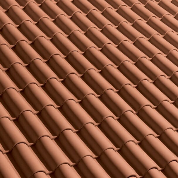 Portoghese Nova Flexa